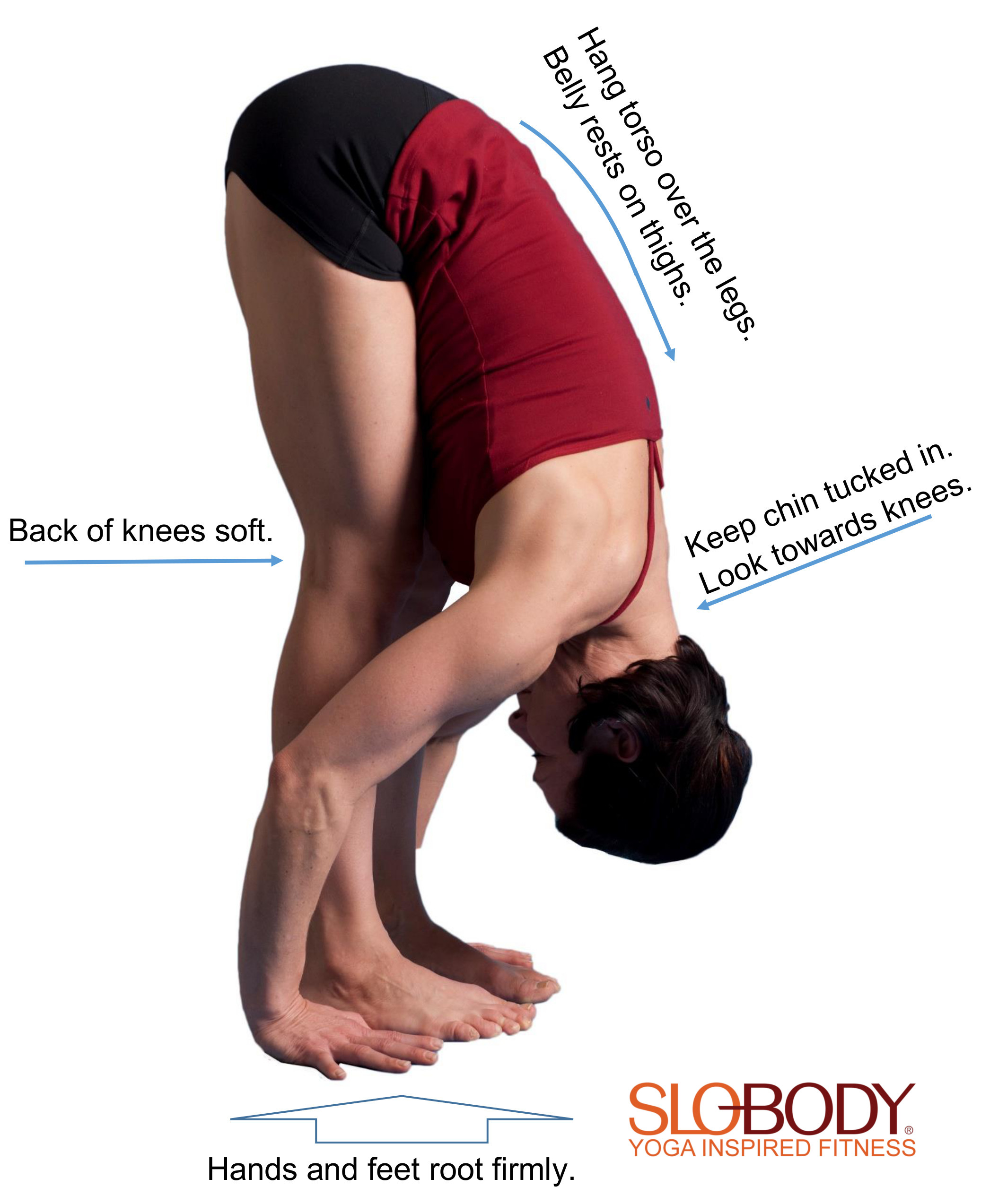 Go Wide: Prasarita padottanasana the standing wide leg forward fold pose by  Chris Loebsack - Boundless Yoga